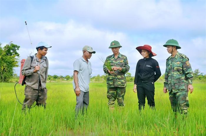 Cán bộ, chiến sĩ Đồn Biên phòng Sê Rê Pôk hướng dẫn kỹ thuật canh tác lúa nước cho nhân dân buôn Drang Phôk . Ảnh: Thái Kim Nga