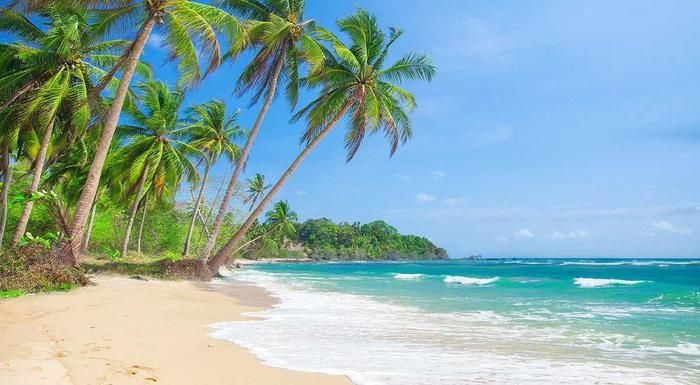 Hãy để những ưu tư cuốn theo trùng sóng, tan vào bọt biển. Ảnh minh họa