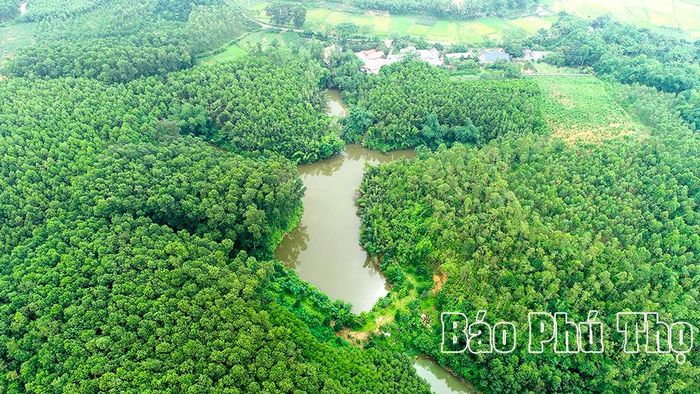 Đầm Ba Gạc được bao phủ bởi những đồi cây xanh mướt tạo không khí trong lành, mát mẻ