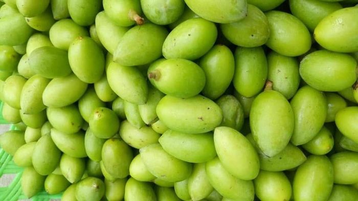 Trám xanh đầu mùa được nhiều bà nội trợ ưa thích