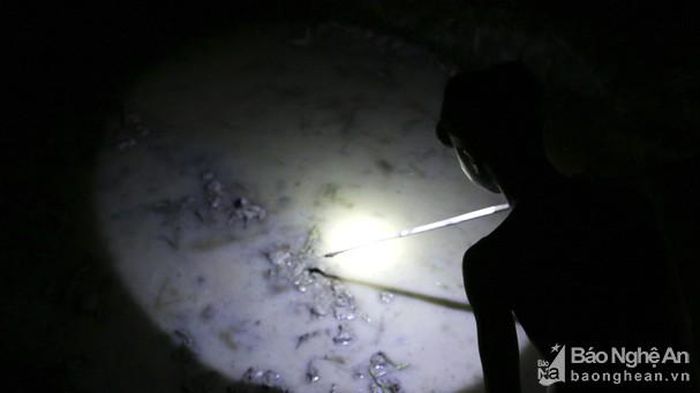 Một số người thì dùng tay không để bắt, số khác lại dùng thanh kim loại mài nhọn và cố định vào một thanh tre để săn nhái. Ảnh: Đình Tuân