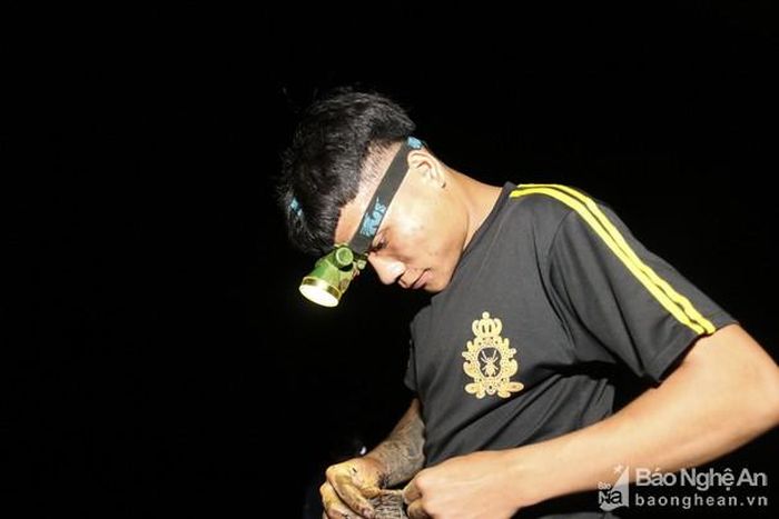 Người dân ở đây cho biết, dịp vừa rồi thời tiết nắng nóng, 2-3 hôm nay trời có mưa nên nhái xuất hiện khá nhiều. Ảnh: Đình Tuân