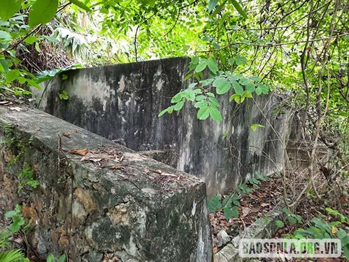 Bể chứa nước xung quanh cây cối mọc um tùm.