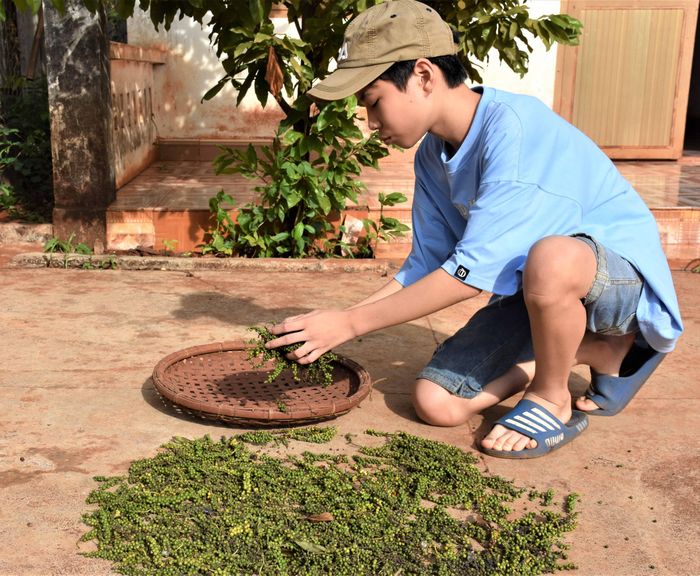 Ngoài giờ học, Quân tranh thủ giúp ba mẹ việc nhà. Ảnh: Trần Dung