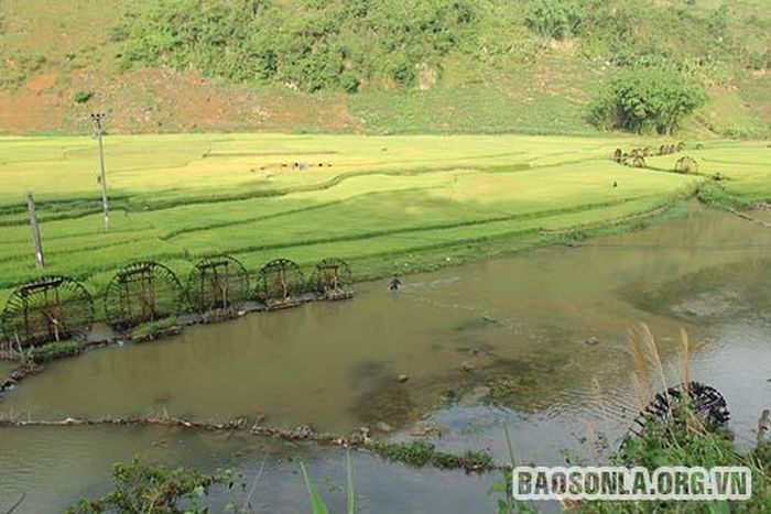 Những chiếc cọn nước mang đến những mùa vàng no ấm.