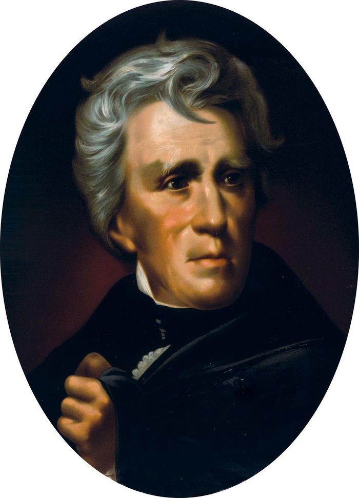 Trong đó, ông Andrew Jackson được đánh giá cao bởi khả năng quân sự. Một dấu ấn lớn trong sự nghiệp nhà binh của ông là việc chỉ huy quân đội Mỹ giành thắng lợi trong trận chiến New Orleans trước quân đội Anh năm 1815.