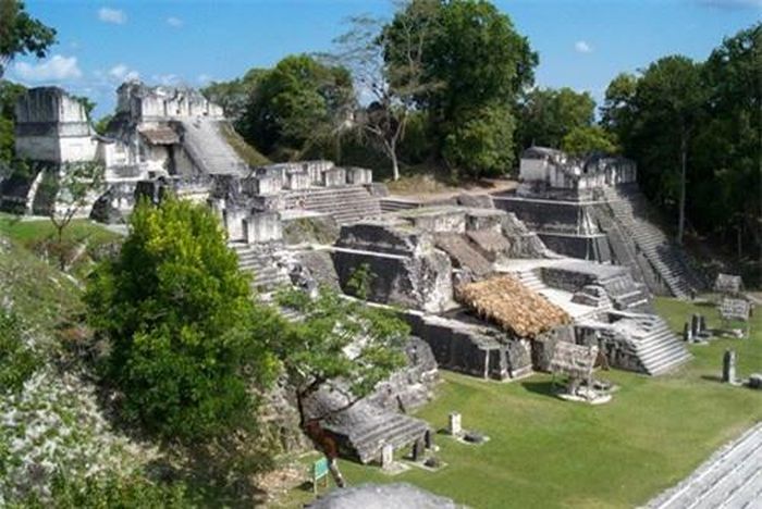 Trong thời kỳ phát triển cực thinh, Tikal có tới 4.000 tòa nhà và 90.000 người dân sinh sống, cùng nhiều đền đài, cung điện tráng lệ.
