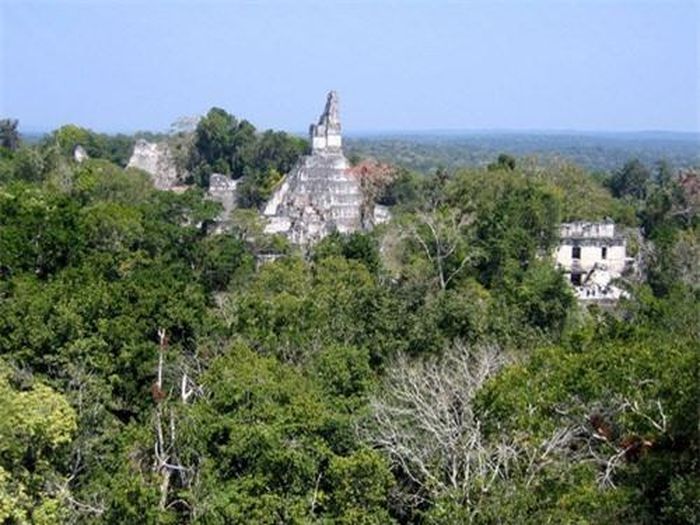 Cùng với sự suy tàn của đế chế Maya, thành phố cổ Tikal bị bỏ hoang vào khoảng năm 900.
