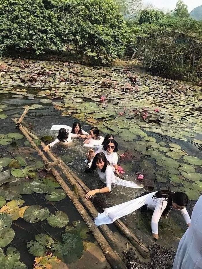 Chụp trên cầu tre quen rồi, làm kiểu tập thể này cho độc lạ nhớ đời.