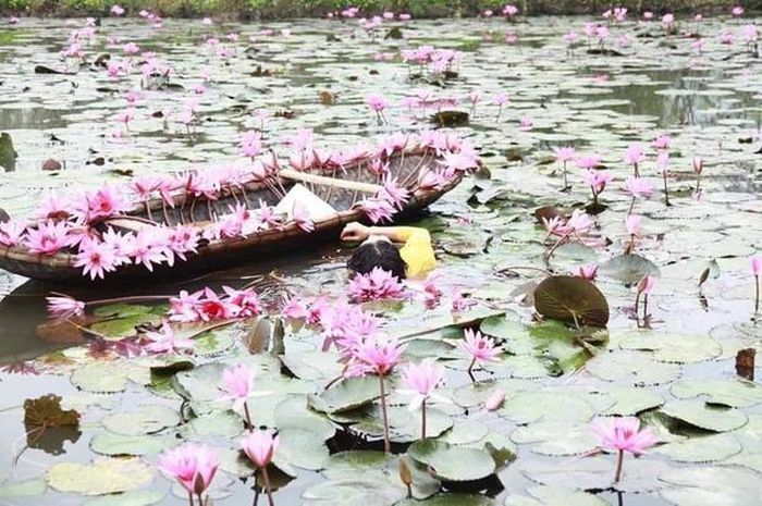 Phục nhiếp ảnh gia thật, ghi lại cảnh xuất thần quá.