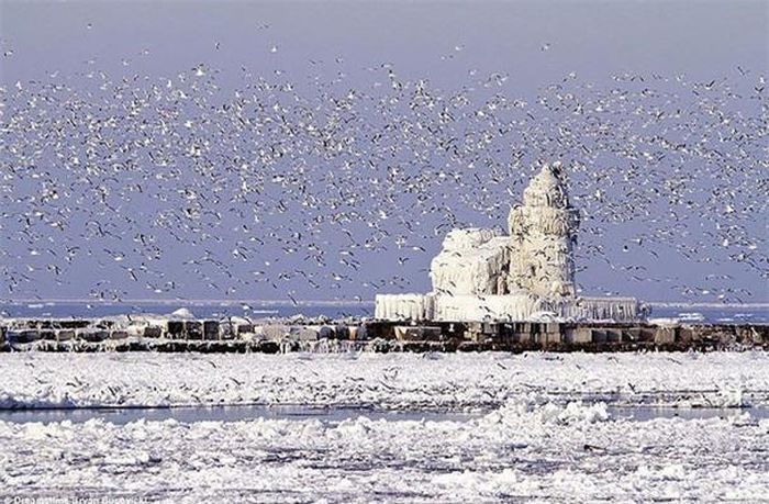  Ngọn hải đăng West Pierhead, cảng Cleveland, bang Ohio, Mỹ: Được xây dựng từ năm 1911 để hướng dẫn tàu từ Hồ Erie đến cảng Cleveland và sông Cuyahoga, West Pierhead được bao phủ bằng băng mỗi mùa đông.