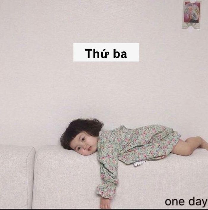 Thứ 3: Phơi nắng.