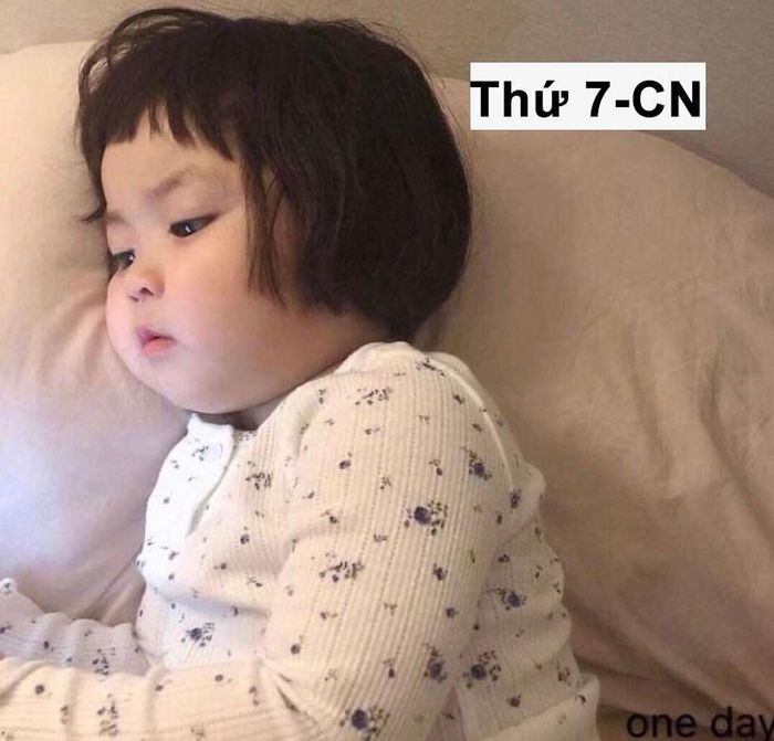 Thứ 7, CN: Giải trí.