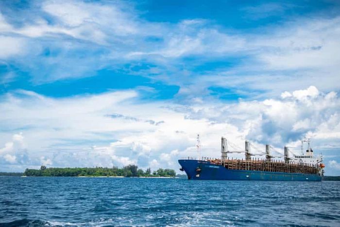  Một tàu chở gỗ ngoài khơi Kavieng, New Ireland. Ảnh: Alessio Bariviera. 