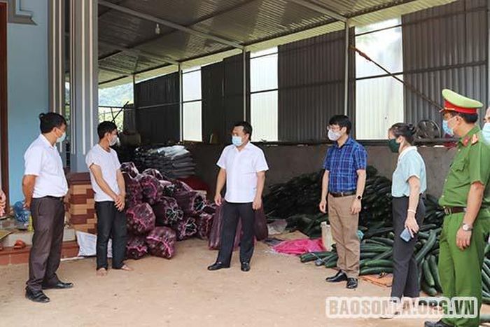 Lãnh đạo huyện Mộc Châu kiểm tra điểm thu mua nông sản giúp người dân tiểu khu 19/5 trong thời gian cách ly phòng, chống dịch bệnh COVID-19.