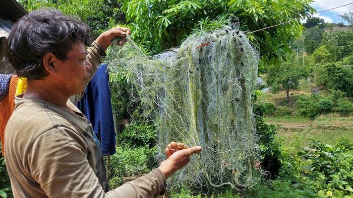 Chuẩn bị lưới săn bắt cá chình