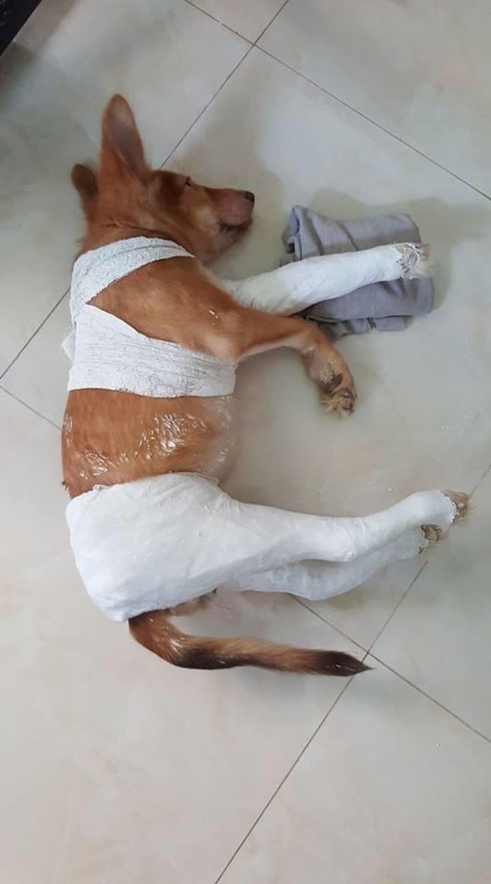 Chân cẳng thế này làm sao mà hẹn hò được nhỉ?!