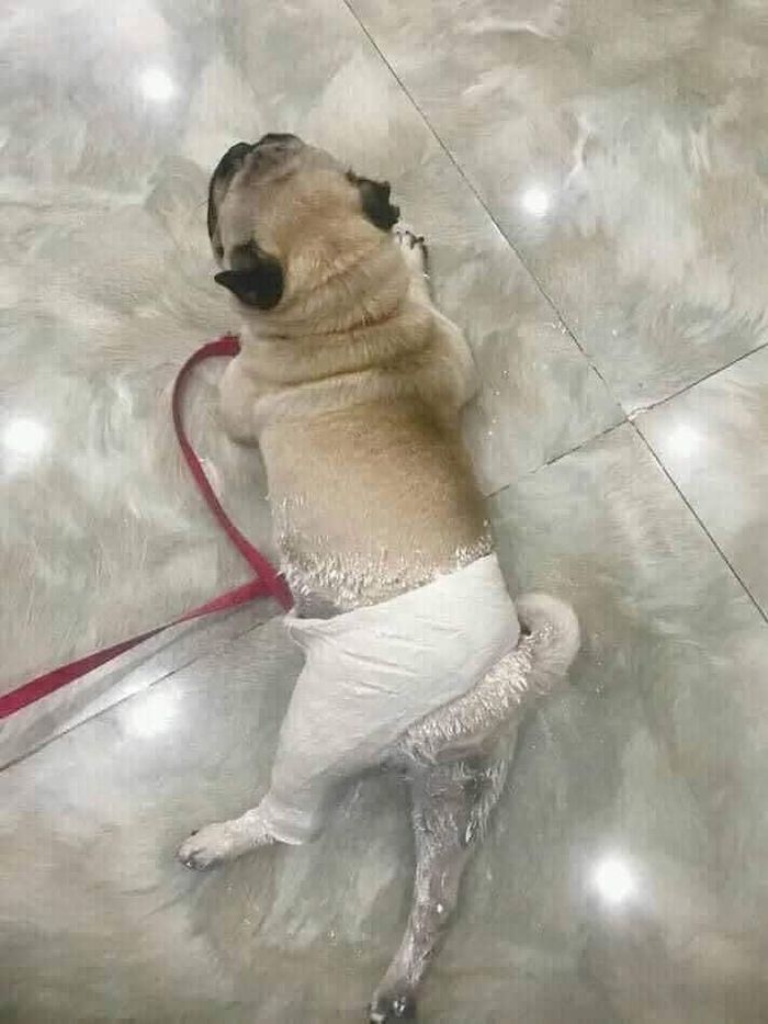 Thanh niên chuyên cà khịa và cái kết đắng ngắt.
