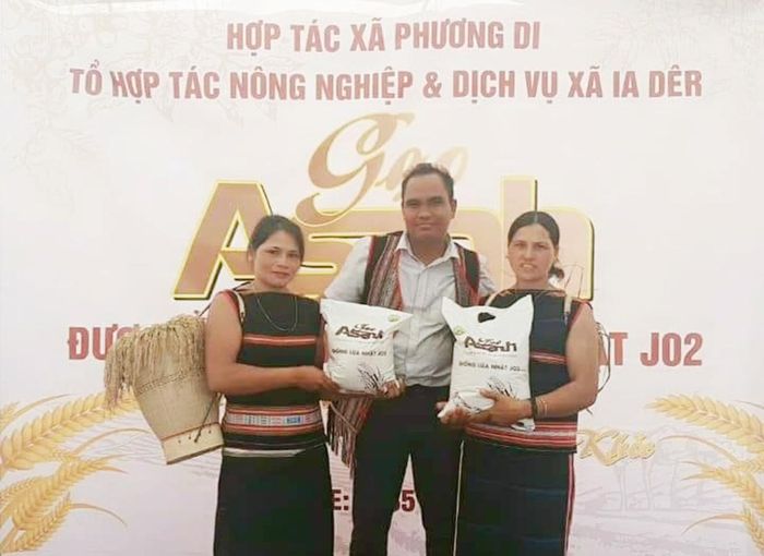 Huyện Ia Grai đang phấn đấu xây dựng thương hiệu gạo A Sanh thành sản phẩm OCOP. Ảnh: Vũ Thảo