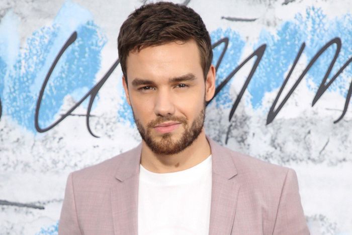  Gần nhất, Liam Payne xác nhận chia tay Maya Henry sau 10 tháng đính hôn. Nam ca sĩ và Maya đính hôn hồi tháng 8/2020. Khi đó, cựu thành viên One Direction ngỏ lời với Henry bằng nhẫn kim cương trị giá gần 4 triệu USD. Liam Payne thừa nhận anh là người không giỏi duy trì các mối quan hệ. Qua nhiều lần hẹn hò, nam ca sĩ không rút được kinh nghiệm và liên tục khiến người khác rời xa mình. 