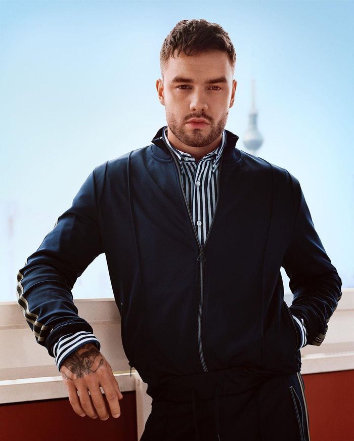 Ngoài ra, Liam Payne khiến khán giả lo lắng khi tiết lộ tình trạng nghiện rượu bắt đầu từ lúc anh hoạt động trong One Direction. "Bạn sẽ làm gì ngoài việc uống rượu sau khi biểu diễn mệt mỏi trước hàng nghìn người và kẹt lại ở nơi xa lạ, không thể đi đâu?", anh nói. Ngôi sao sinh năm 1993 cho hay anh sử dụng thuốc động kinh như liệu pháp an thần do bản thân thường có tâm trạng thay đổi vì áp lực hoạt động trong nhóm nhạc nổi tiếng.
