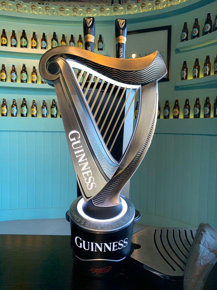 Đàn hạc là biểu tượng quốc gia Ireland. Từ thời cổ đại, đàn hạc đã chiếm vị trí quan trọng trong văn hóa Ireland. Tác phẩm điêu khắc gỗ thời xưa đã minh họa một bữa tiệc, trong đó có nghệ sĩ đàn hạc được tán dương.