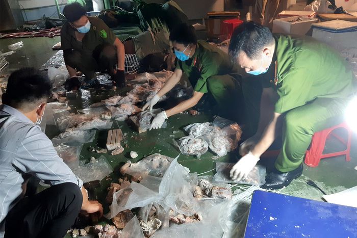  C04 triệt phá đường dây cất giấu ma túy trong da dạy lợn. Ảnh: C.A. 
