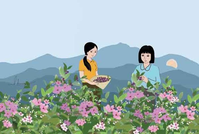 Minh họa: Huyền Trang