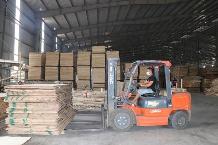  Giá trị sản xuất của mặt hàng ván gỗ ép tăng trưởng 150% trong 6 tháng đầu năm 2021. (Nguồn: TTXVN) 