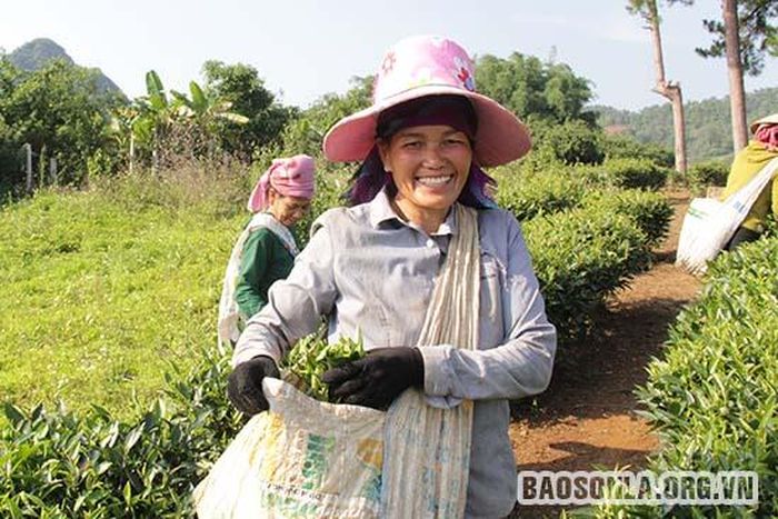 Nụ cười hạnh phúc sau ngày làm việc hiệu quả.