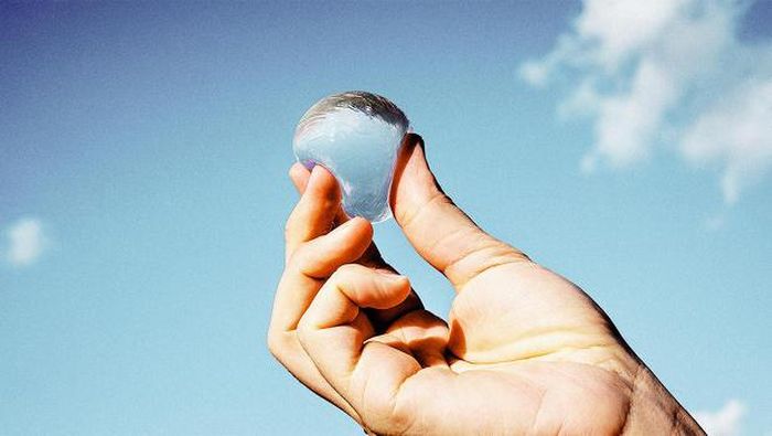 Bê tông sinh học giúp tái tạo hệ sinh thái trong môi trường biển