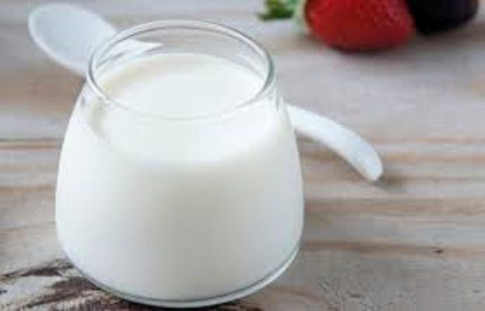 Sữa chua là thực phẩm cực kỳ tốt cho hệ tiêu hóa. 