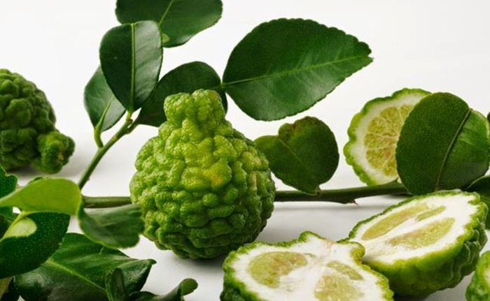 Tuy nhiên, ngày nay cây chúc được người dân trồng vừa làm cảnh vừa làm nguyên liệu trong nhiều món ăn. Ảnh: Dân Việt
