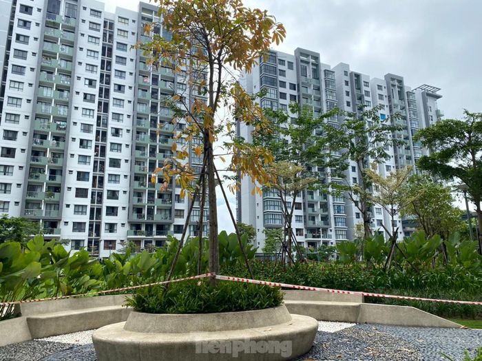 Tuy nhiên, người Sài Gòn vẫn lạc quan. Ừ thì Sài Gòn đang ốm, nhưng sẽ nhanh khỏe lại thôi.