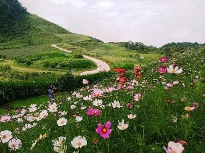 Rất nhiều điểm để du khách có thể lưu giữ những bức hình đẹp.