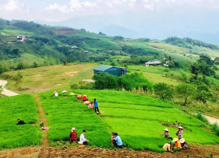 Bà con thôn Lủng Phặc chuẩn bị gieo cấy lúa mùa trên các thửa ruộng bậc thang.