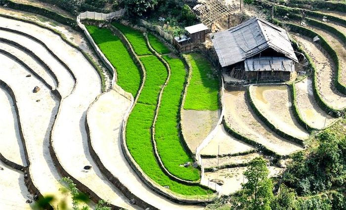 Ruộng bậc thang Sa Pa (Lào Cai) được xếp vào danh sách những ruộng bậc thang đẹp nhất thế giới, được bình chọn bởi tờ Telegraph của Anh.