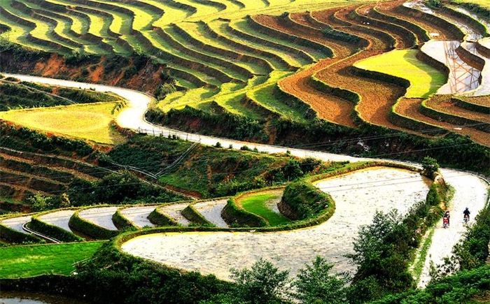 Bức họa vùng cao Sa Pa.