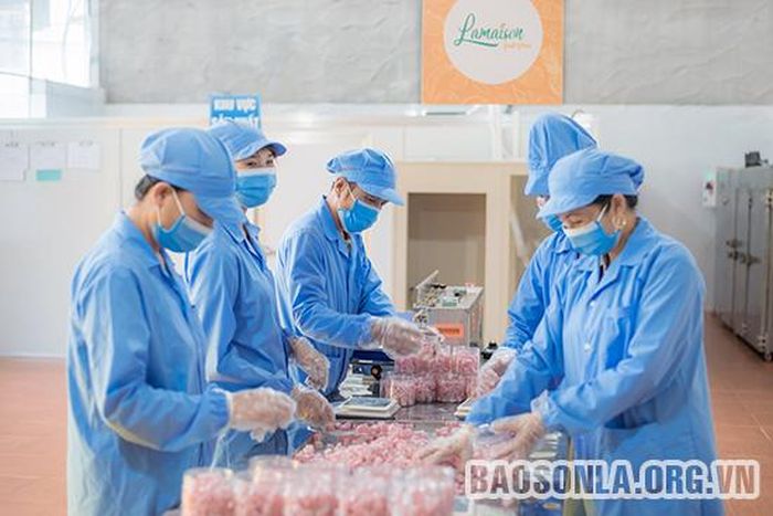 Công nhân Công ty TNHH công nghệ thực phẩm tươi Hải Đăng (Thành phố) đóng gói sản phẩm.