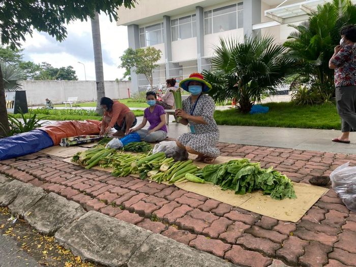 Dân chung cư chia sẻ rau xanh được "cứu trợ" cho mọi người.
