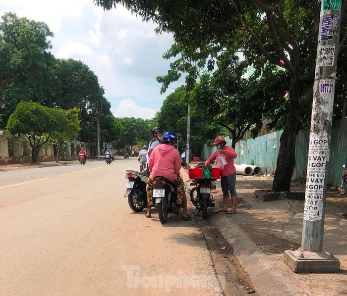 Người này rảo qua nhiều đoạn đường ở khu vực quận 6 để bán khi có khách. Cá nguyên con, khách mua về tự làm.
