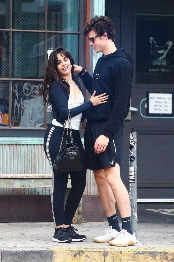 Camila Cabello và Shawn Mendes thường xuyên đi bộ.