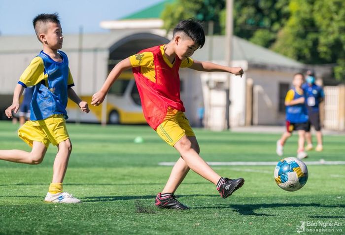 Dù các em chỉ chơi bóng theo bản năng chưa được rèn dũa về kỹ năng xử lý bóng, sút bóng nhưng theo đánh giá của các HLV các em đều thể hiện tố chất tốt, có thể đáp ứng các đòi hỏi về chuyên môn mà CLB SLNA đề ra. Ảnh: Đức Anh