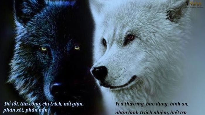 Trong mỗi con người luôn tồn tại một "con chó đen" và một "con chó trắng" đánh nhau suốt ngày đêm