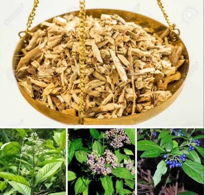 Thường sơn tác dụng thổ đờm, triệt ngược, thanh nhiệt hành thủy; trị sốt rét.