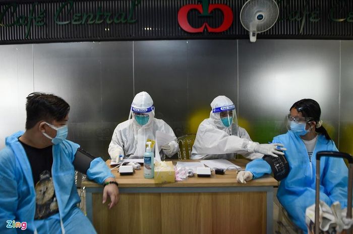 Xuyên tâm liên có thể dùng để điều trị bệnh nhân Covid-19 ở thể nhẹ. Ảnh: Phạm Ngôn. 