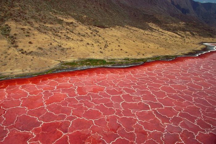 Hồ Natron ở Cộng hòa Tanzania, Đông Phi gây ấn tượng với màu nước đỏ, da cam độc đáo. Sắc nước đặc biệt ở đây bắt nguồn từ loại vi khuẩn cyanobacteria sinh sống trong hồ