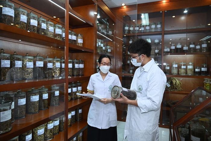 Viện Dược liệu triển khai nghiên cứu theo hướng tìm các hoạt chất phòng, chống virus SARS-CoV-2 và tăng cường miễn dịch.Ảnh: DUY LINH 