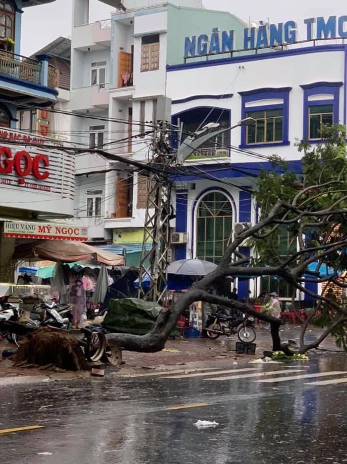 Cây xanh trên đường Nguyễn Thiện Thuật (TP. Pleiku) bị bật gốc do mưa lớn. Ảnh: Hồng Thương