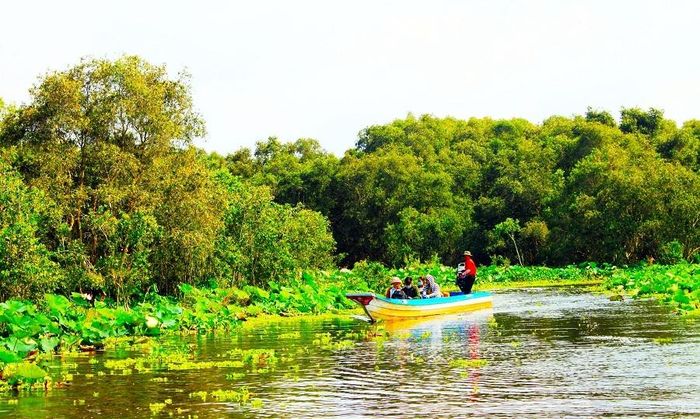 Ngồi trên chiếc tắc ráng, du khách được trải nghiệm một hành trình sông nước đầy thú vị phủ hai bên bóng mát của những hàng tràm chạy dần xa hút cả tầm mắt.